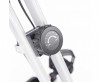 X-Bike DFC PLENY CF-917FM-2      - -.