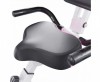 X-Bike DFC PLENY CF-917FM-2      - -.