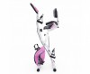  X-Bike DFC PLENY CF-917FM-2      - -.