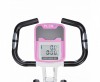 X-Bike DFC PLENY CF-917FM-2      - -.