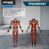 P-8A PROF ���������������� �������� Fitex Pro PREMIER-8A PROF sportsman - ������-������������.��