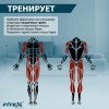 ���������� ������������ PREMIER PROF-M ����-���� ���������������� ������������� - ������-������������.��